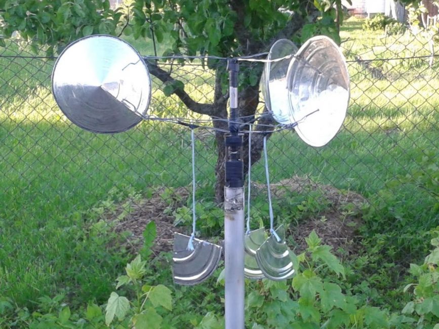 Repousser les taupes du site