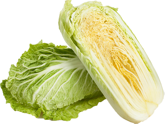 Quels légumes planter avant l'hiver ? TOP 8 des plantes les plus adaptées et leurs meilleures variétés