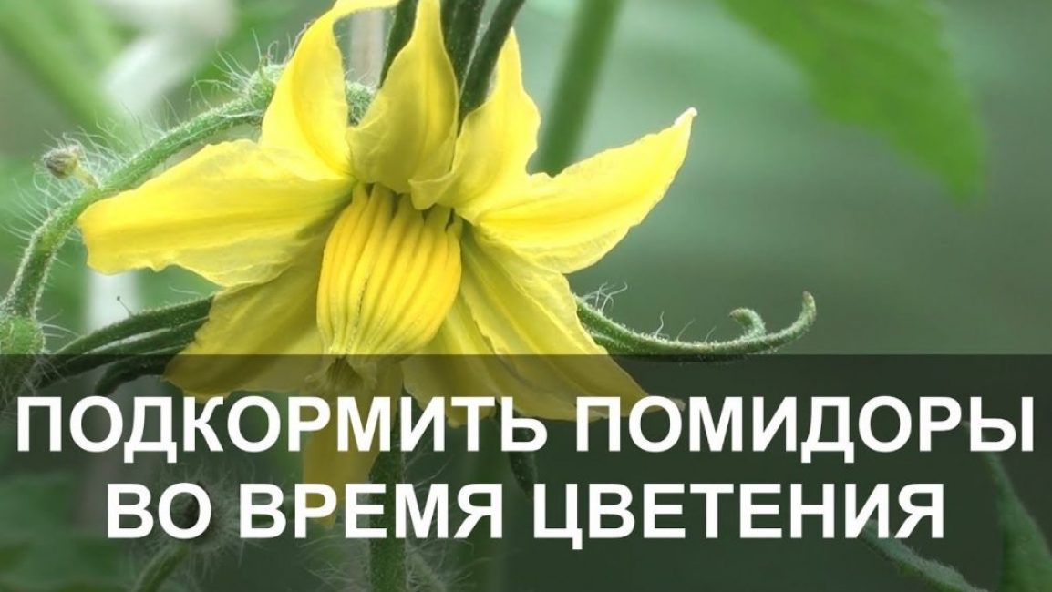 Le top dressing pendant la floraison est important