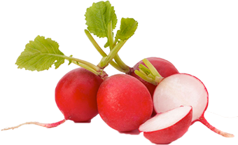 Quels légumes planter avant l'hiver ? TOP 8 des plantes les plus adaptées et leurs meilleures variétés