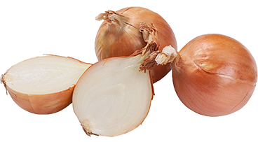 Quels légumes planter avant l'hiver ? TOP 8 des plantes les plus adaptées et leurs meilleures variétés