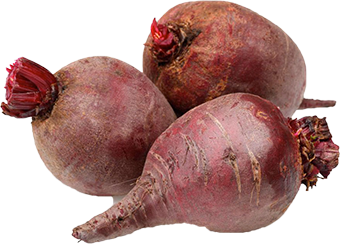 Quels légumes planter avant l'hiver ? TOP 8 des plantes les plus adaptées et leurs meilleures variétés