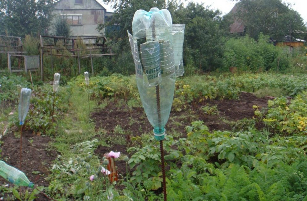 Cliquet d'une bouteille en plastique