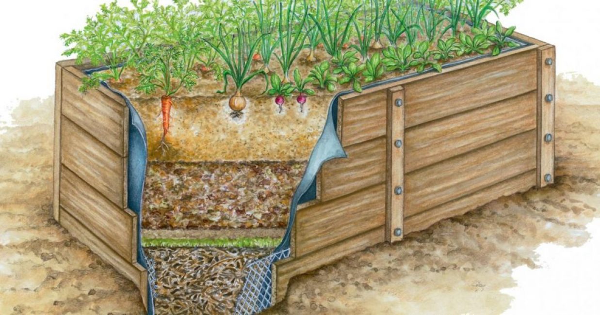 Le sol surélevé au-dessus du sol se réchauffe beaucoup plus rapidement