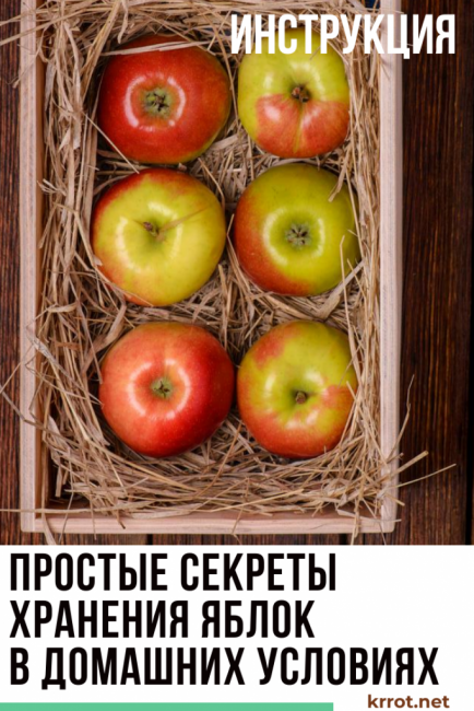 Comment conserver les pommes séchées à la maison