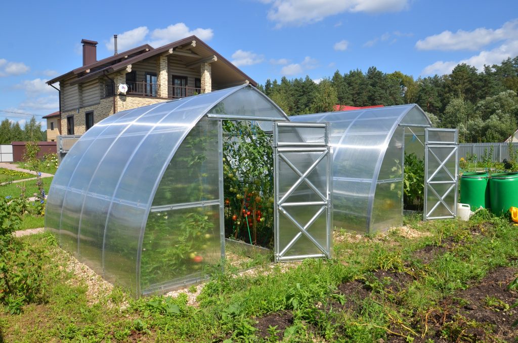 TOP-12 Meilleurs modèles pour la culture de légumes, de baies et de fleurs (Photo & Vidéo) + Avis