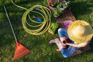 TOP 15 Meilleurs tuyaux d