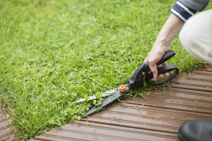 TOP 12 Meilleurs cisailles de jardin : choisir un outil pour couper l'herbe, les buissons et les haies Classement 2019 + Avis