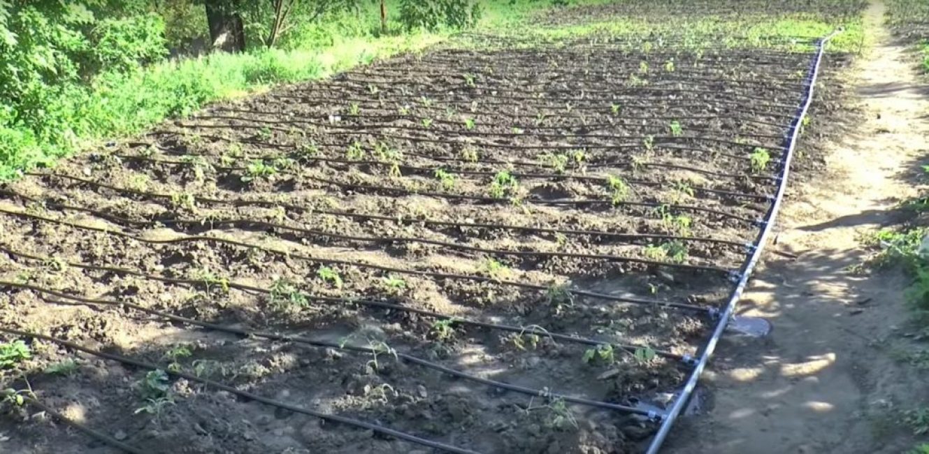 Le système est prêt à fonctionner