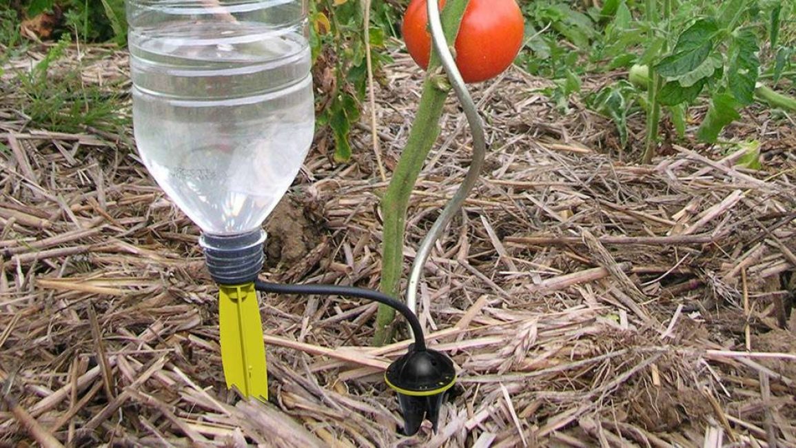 système d'irrigation goutte à goutte