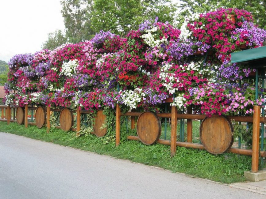 Beauté et bienfaits