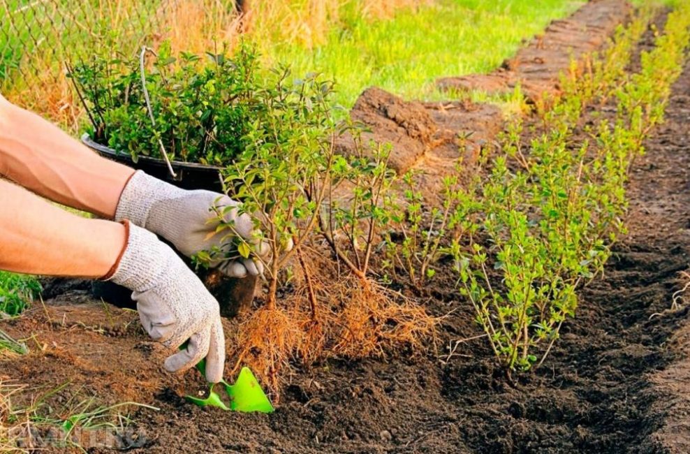 Processus de débarquement