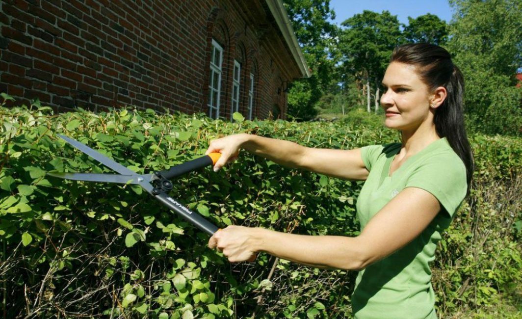 Un look coloré est créé par une taille régulière