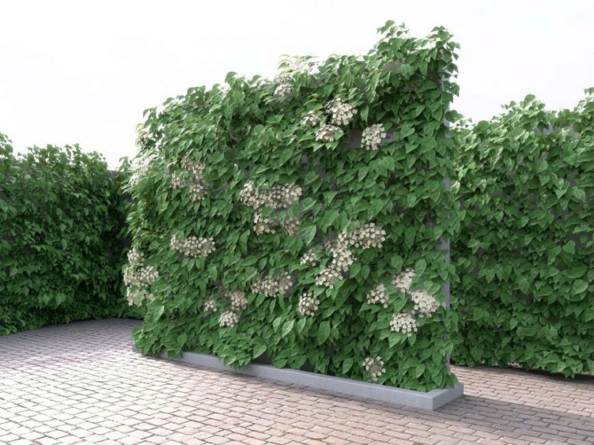 De bons soins contribueront à une récupération rapide si une situation désagréable se produit.