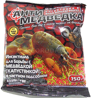 TOP-5 Façons de traiter l'ours dans le jardin, parcelle de jardin: remèdes efficaces et mesures préventives
