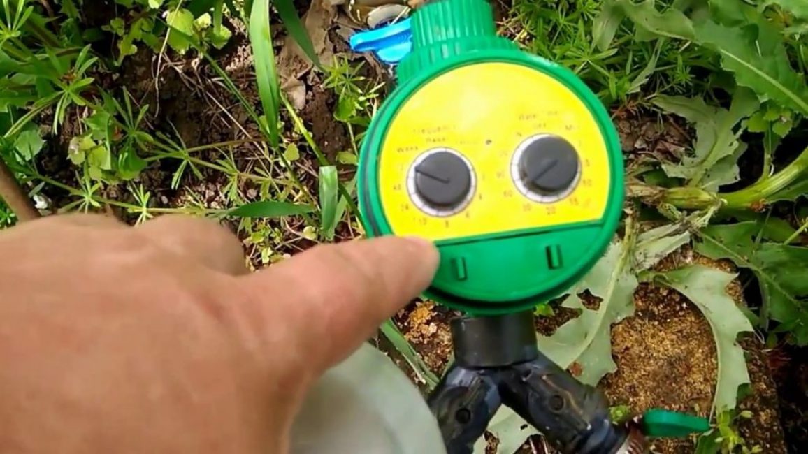 Minuterie d'irrigation goutte à goutte automatique