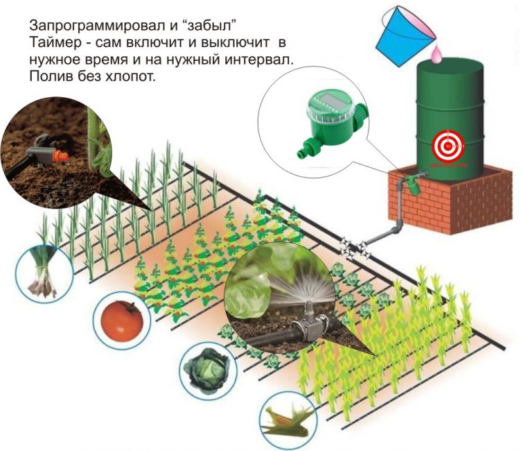 Automatisation avec une minuterie d'arrosage électronique