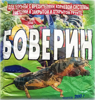 TOP-5 Façons de traiter l'ours dans le jardin, parcelle de jardin: remèdes efficaces et mesures préventives