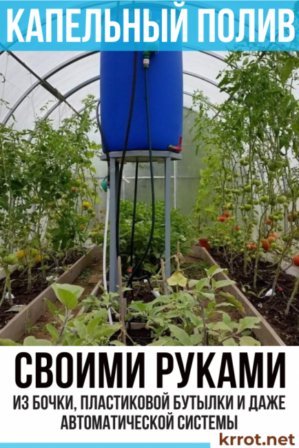 Dispositif d'irrigation goutte à goutte à faire soi-même dans une serre