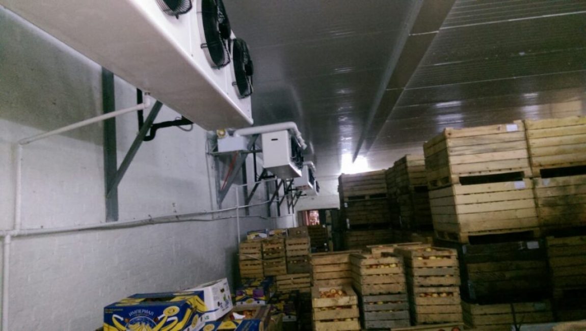 Stockage de fruits pour les pommes