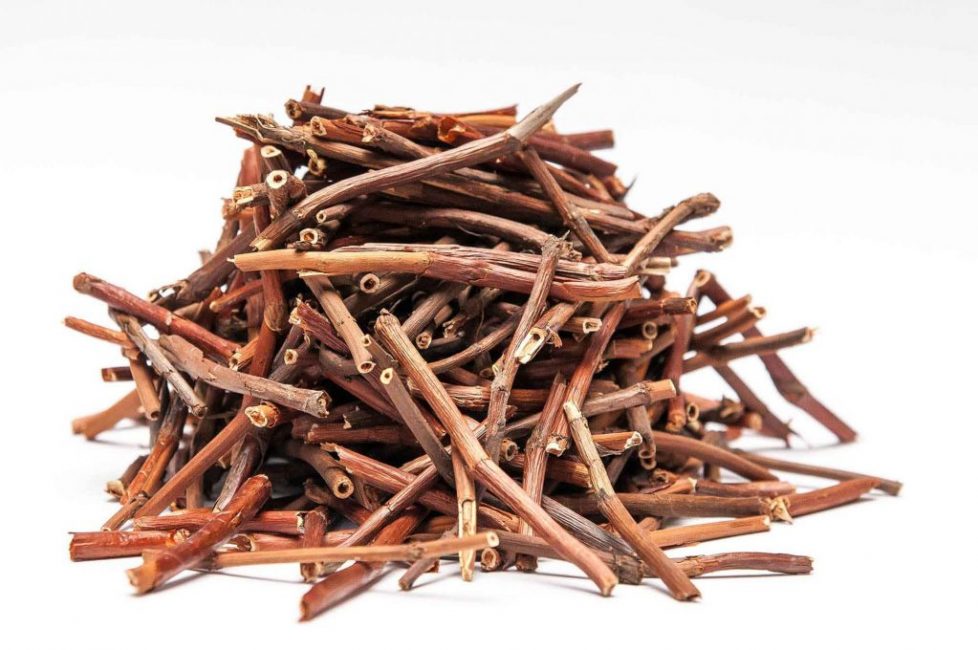 racines de potentille