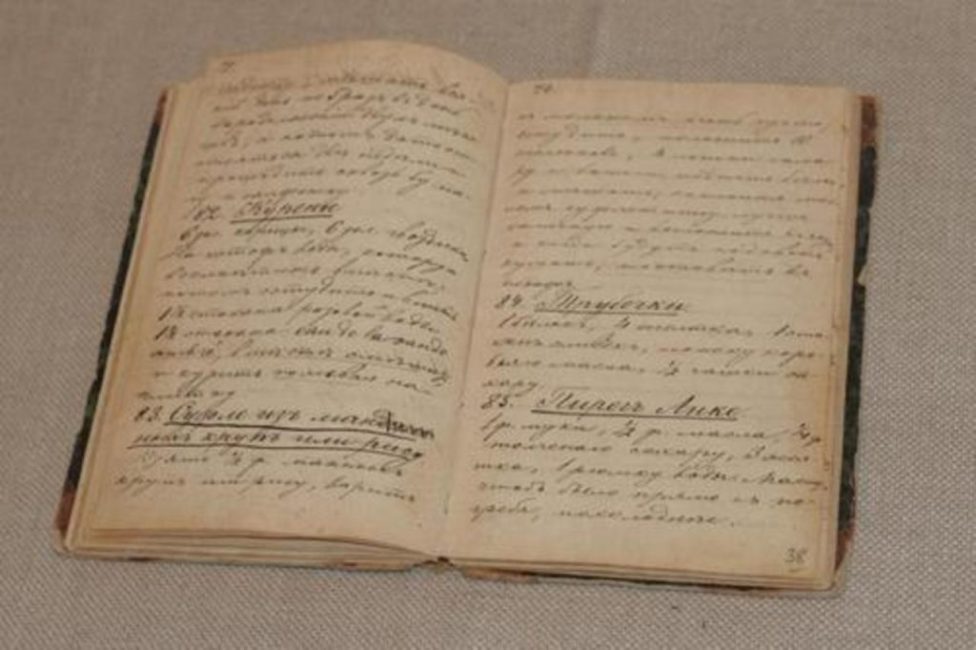 Livre de cuisine de la femme de Léon Tolstoï