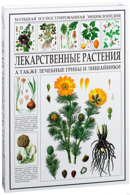Plantes médicinales. Encyclopédie