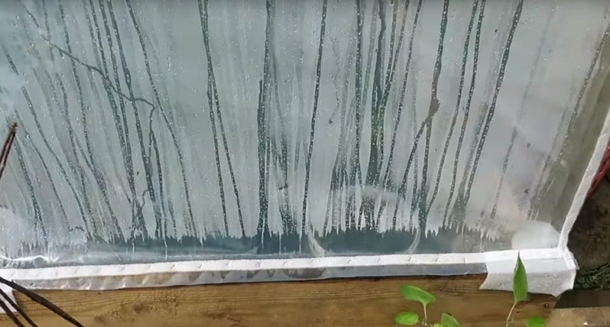 Les supports inférieurs en polyéthylène peuvent être cloués à la base à l'aide d'un substrat, mais il est préférable de les remplacer par des lattes de bois plus tard