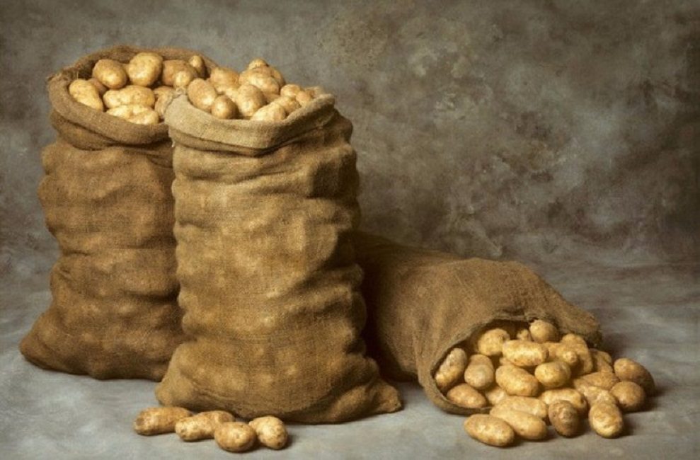 Les sacs sont largement utilisés pour le stockage.