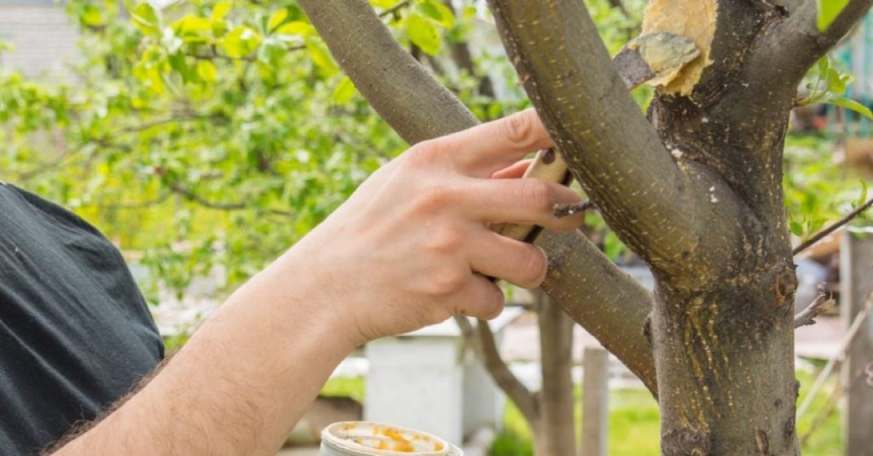 Comment utiliser jardin var