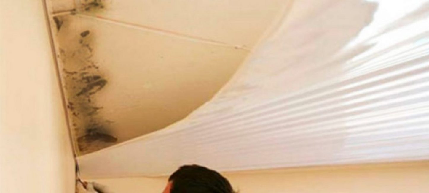 formation de moisissure