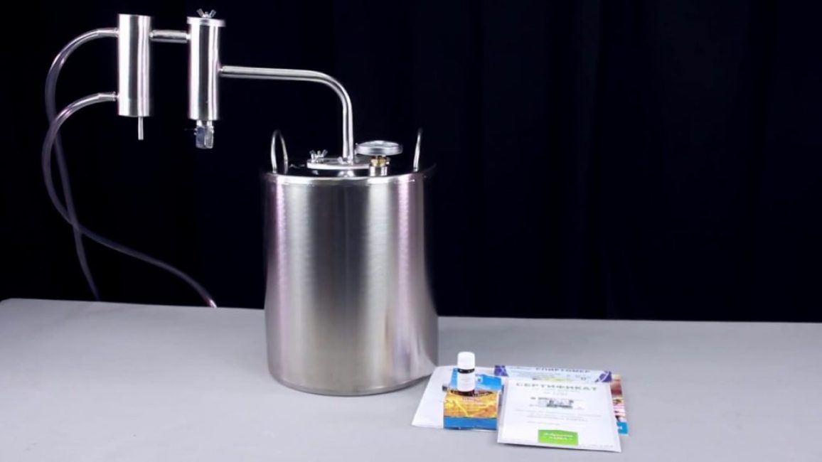 Plante Selmash Paysanne Lux 20 litres