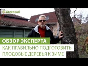 [VIDEO] Comment bien préparer les arbres fruitiers pour l