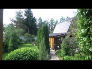 [VIDEO] Formation de parterres de fleurs