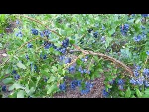 [VIDÉO] 8 façons d