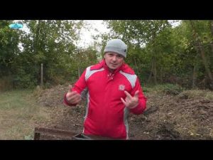 [VIDEO] Comment restaurer la fertilité des sols en automne