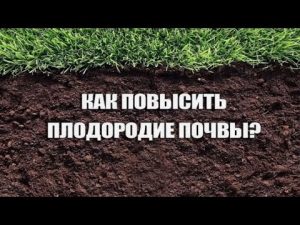 [VIDÉO] 8 façons d