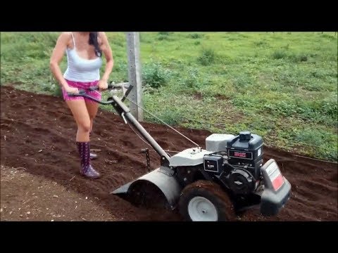 [VIDÉO] Des machines étonnantes dans l'agriculture