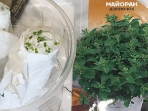 [VIDÉO] Marjolaine. Jardin épicé.