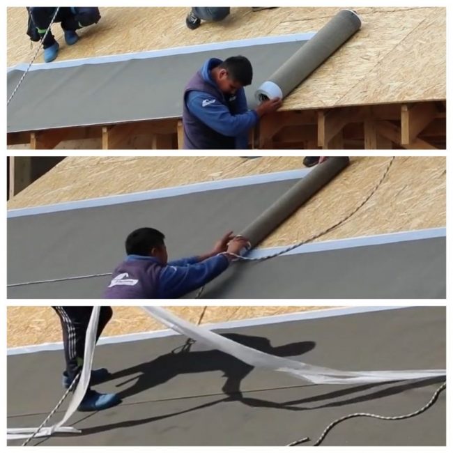 Pose des lés de moquette en chevauchement en retirant le papier de protection des lés adhésifs puis sur les clous 35mm