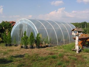 [Instruction] Comment faire une serre avec des tuyaux en plastique