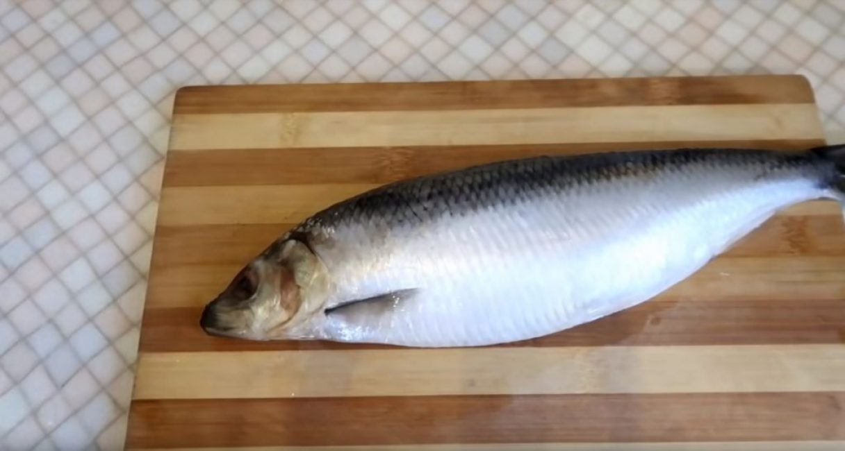 Hareng préparé pour le nettoyage