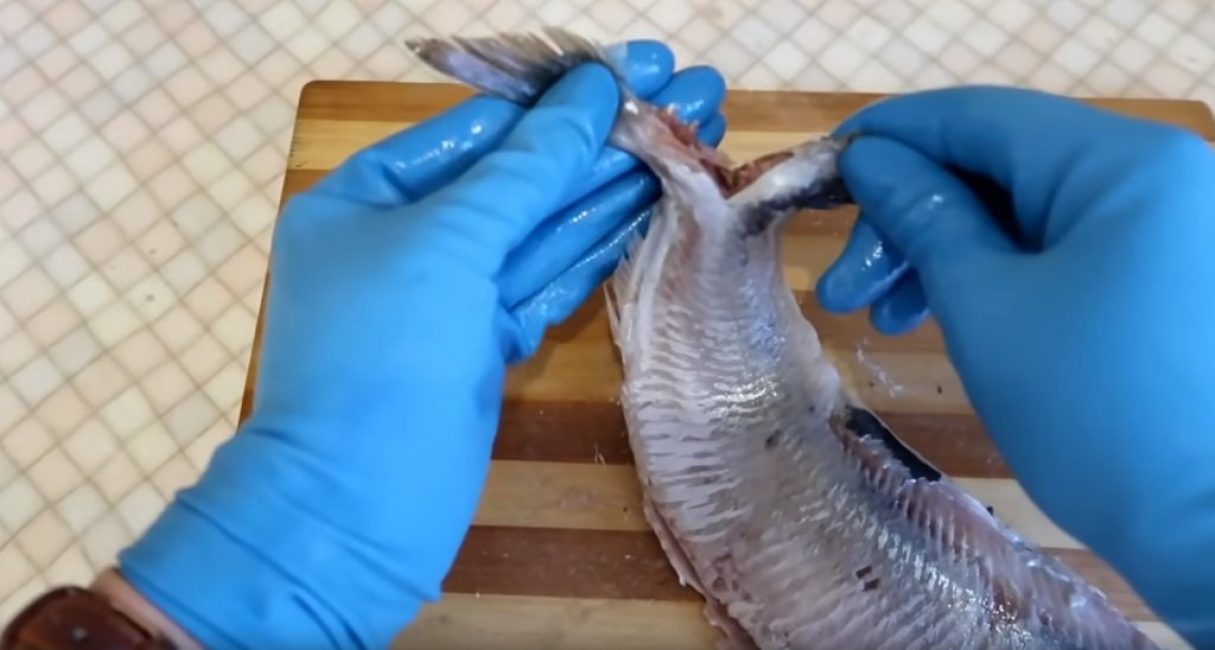 Diviser un hareng en deux parties en cassant la nageoire caudale