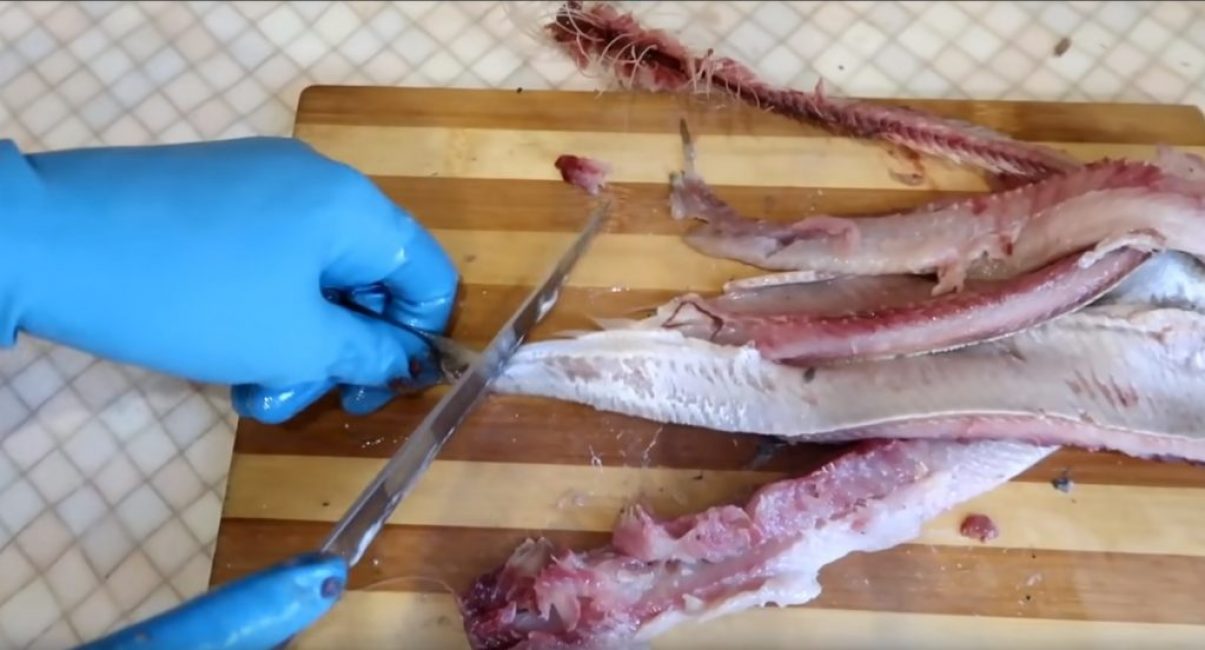 Couper la nageoire caudale