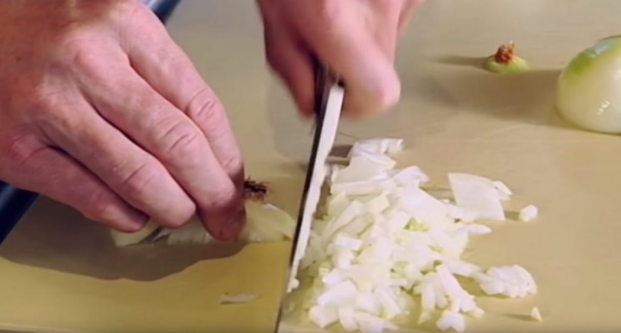 La zone racine restante est coupée arbitrairement