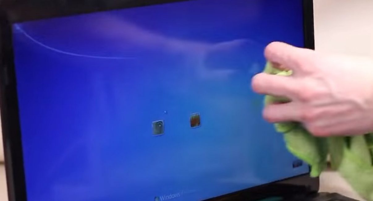 Nous nettoyons l'écran de l'ordinateur portable