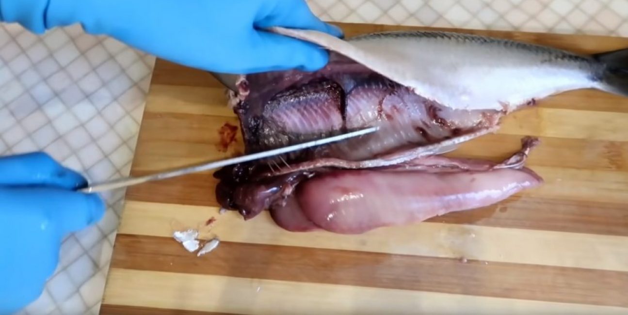 Ensuite, il est nécessaire de retirer le film noir des surfaces de la cavité abdominale.