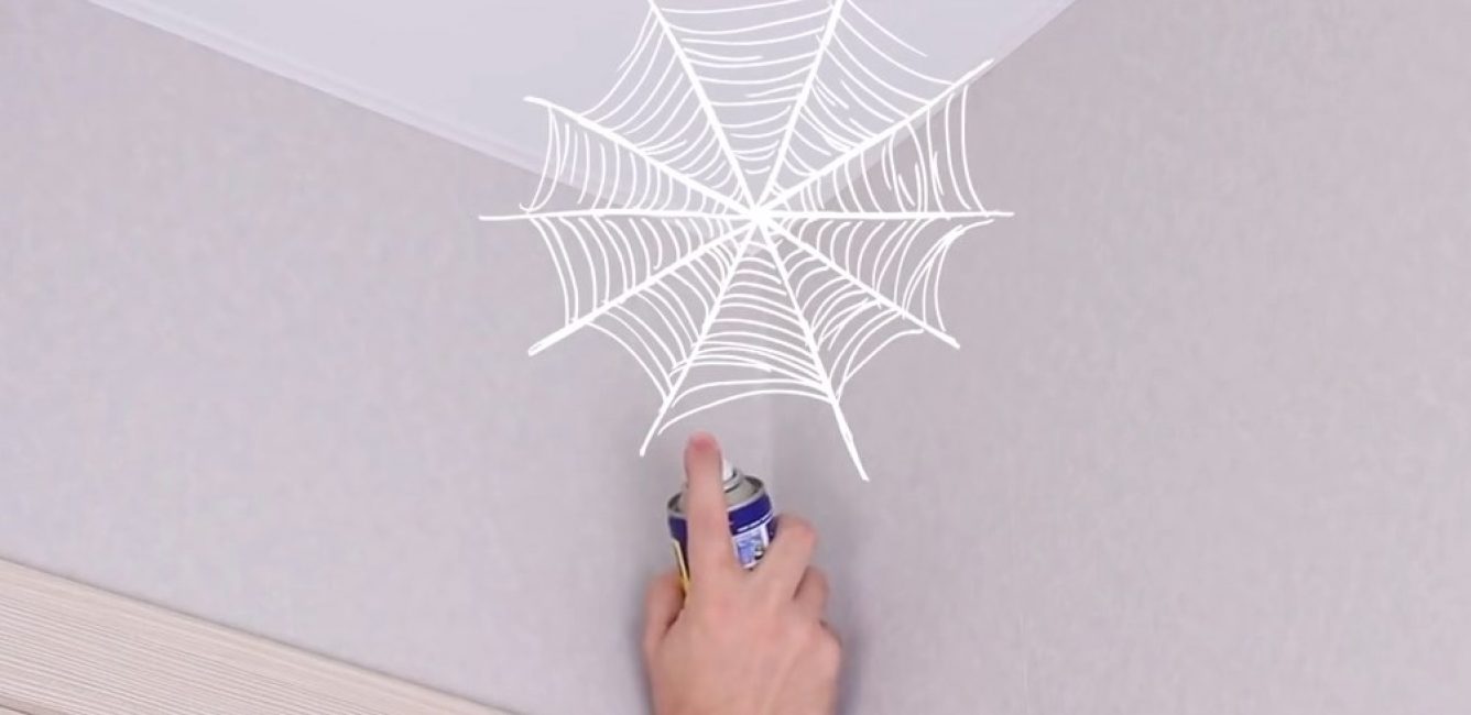 Contre les araignées et les fourmis domestiques