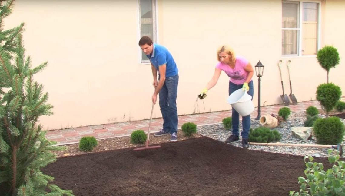 Fertilisation et nivellement initial du sol pour la future pelouse