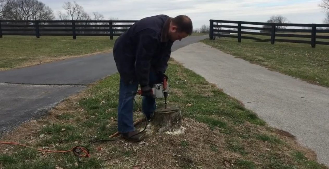Percer un trou au centre de la souche à enlever